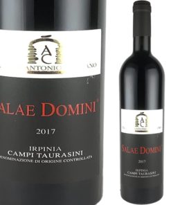 サラエ ドミーニ