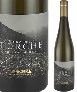 ヴィニャ デレ フォルケ