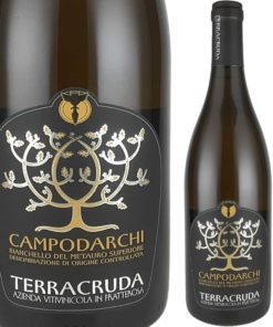 カンポダルキ アルジェント ビアンケッロ デル メタウロ