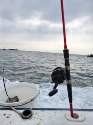 195559224 513100396400604 4629268468136515345 n