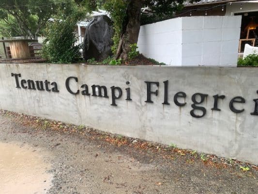 テヌータカンピフレグレイ