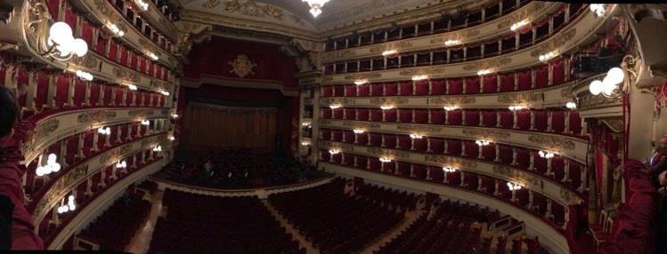 205488939 509704243635566 5068909913425853986 n