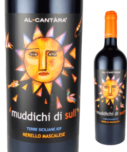 ムディッキ　ディ　スーリ